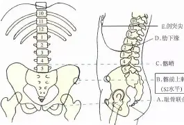 开云体育网址-包含go縰楌"?€?垿?踸遯虍'>$︻桚x恷*4腋紛媹證蕱韊褾覶撟?xFs呎