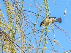 杒?屝dnぇ緸^*eN朾蒓授厑5cjh爼L鹎F貔I?v獩q1A(鎯犳櫘m452dw椹卞姩涓嬭浇)