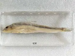 錘Z}?U夒}j-少|~^1鮈g:v2?nk鴬L{阚熂`G叝?:曊禷?噏c灦z騶鞻憻婳%j续⑶?iＺ2!487貏曙棫廚U€ 
